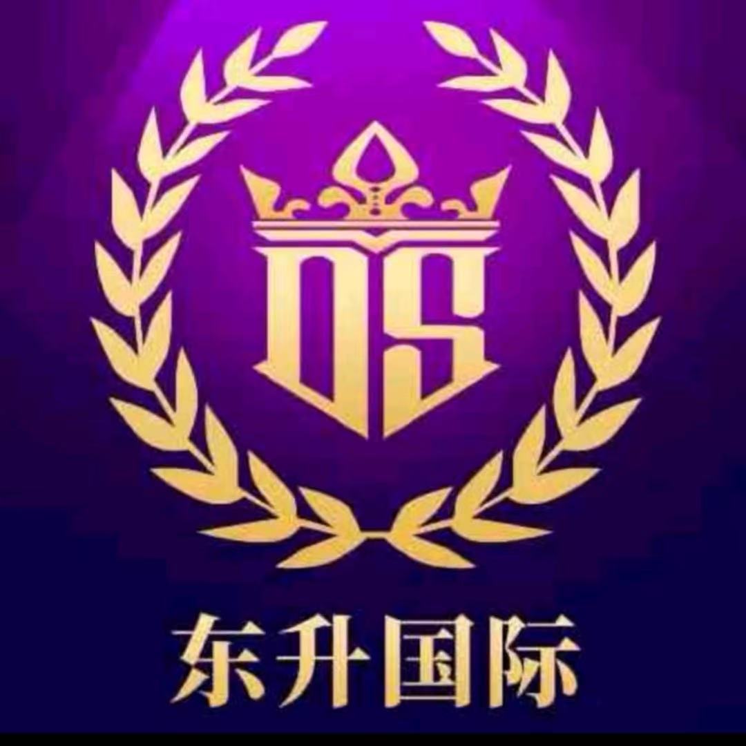 东升国际